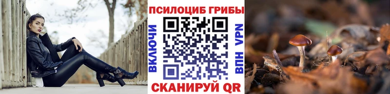 Псилоцибиновые грибы GOLDEN TEACHER  mega как войти  Алупка 